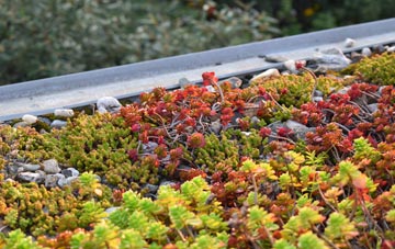 the cost of Westhall green roof installation