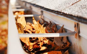 Westhall gutter cleaning companies