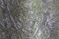 Westhall fibreglass roof work